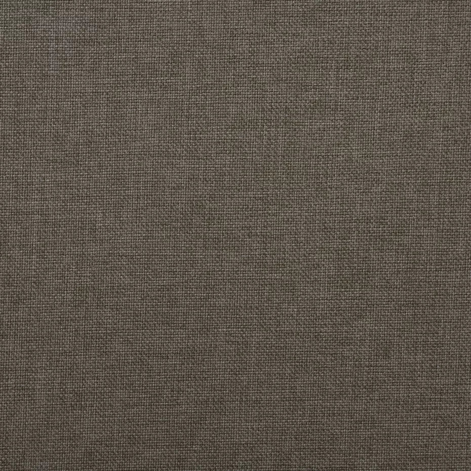 Beachcomber Driftwood